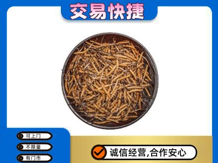 蚌埠回收散虫草